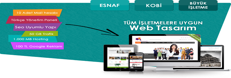 WEB SİTESİ PAKETLERİ